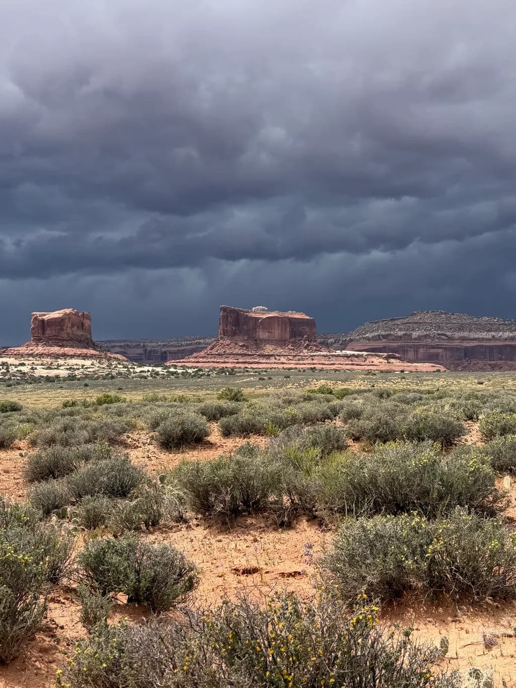 Storm Over Red Rocks