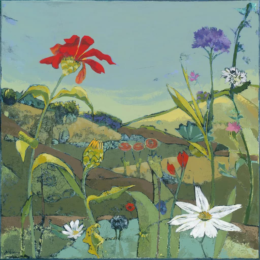 Wildflower Meadow