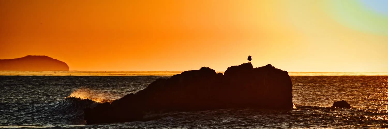 Banner del perfil