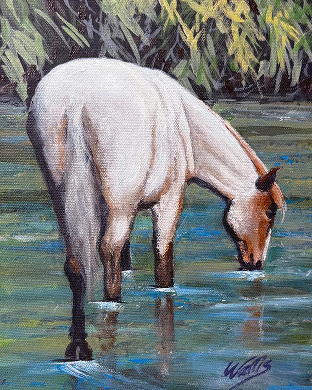 Salt River Wild Mare, Tonto National Forest