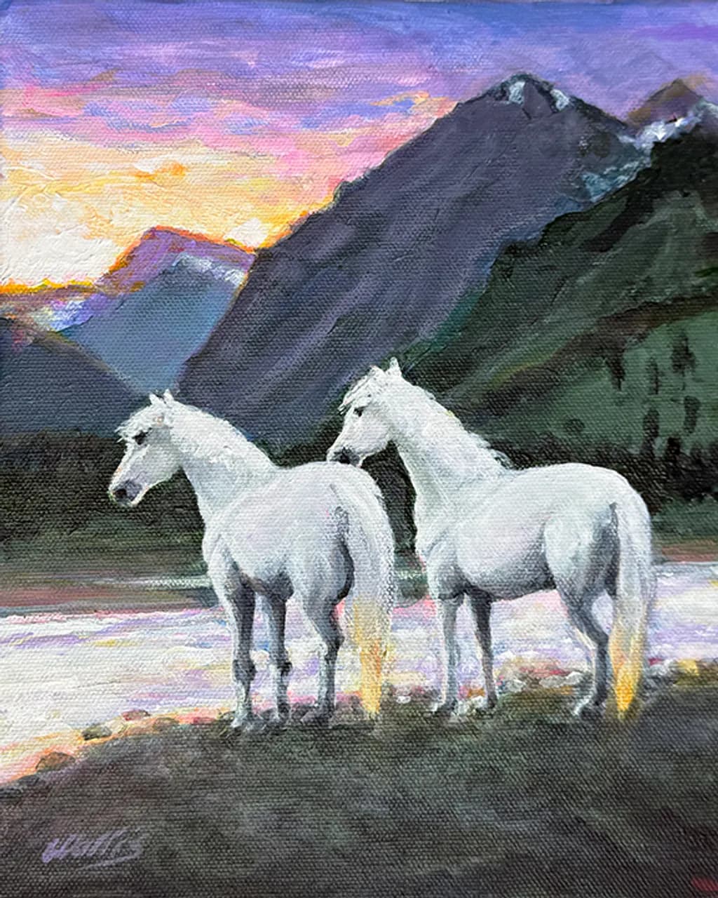 Salt River Wild Horses