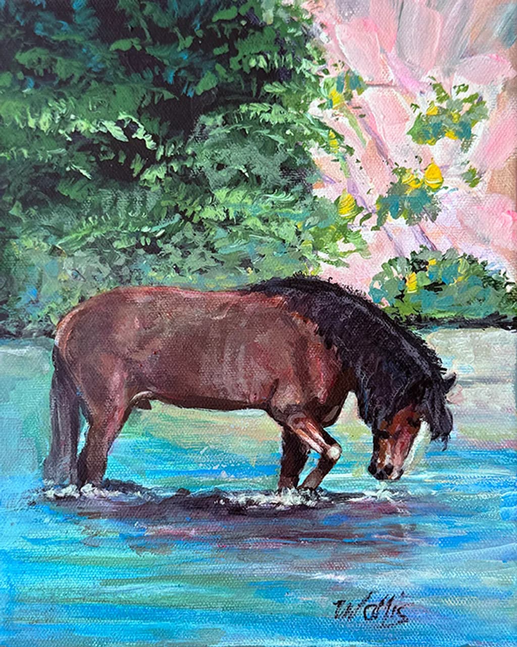 Wild Mustang Stallion, Tonto National Forest, Salt River