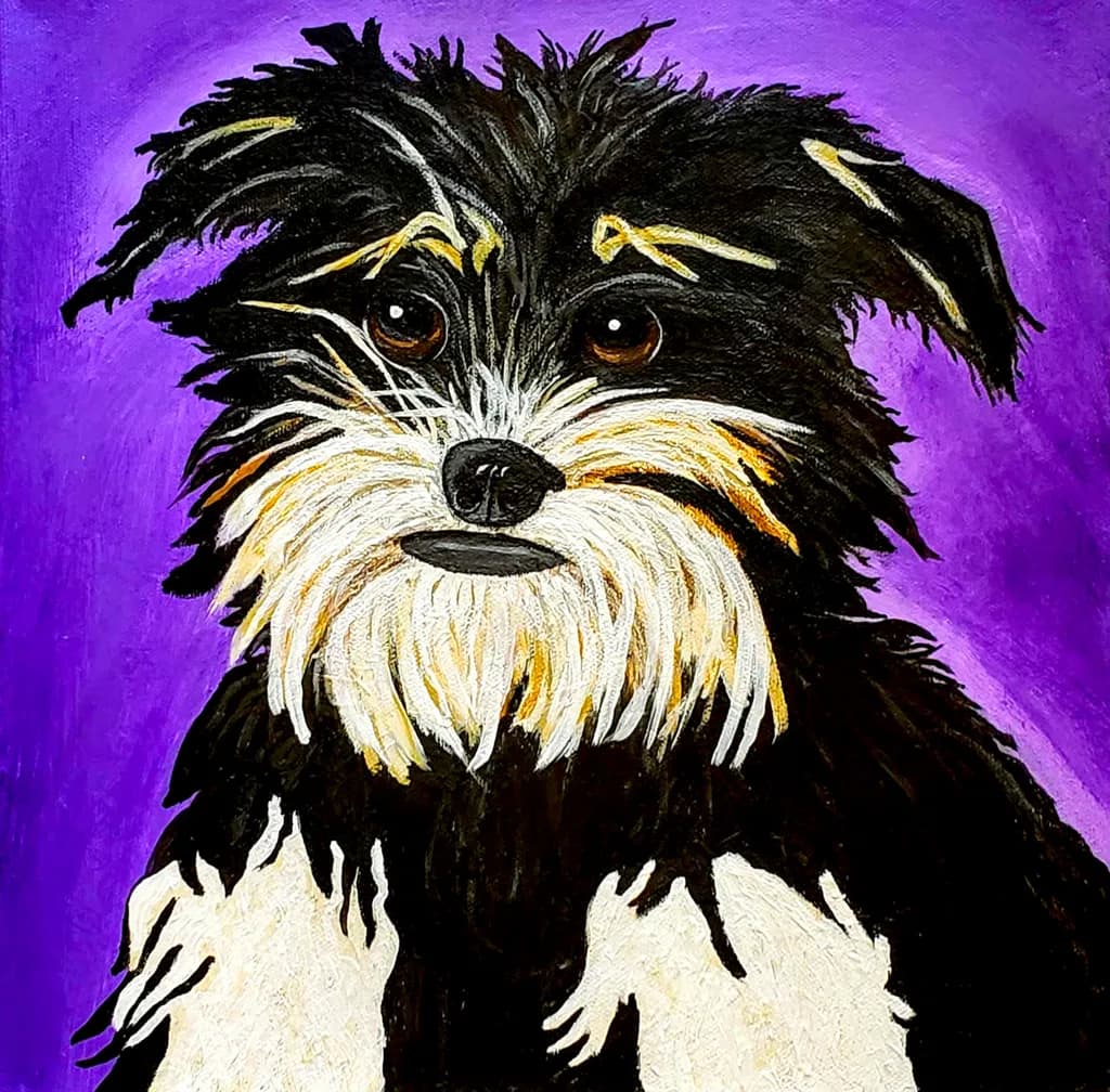 Furry Companion