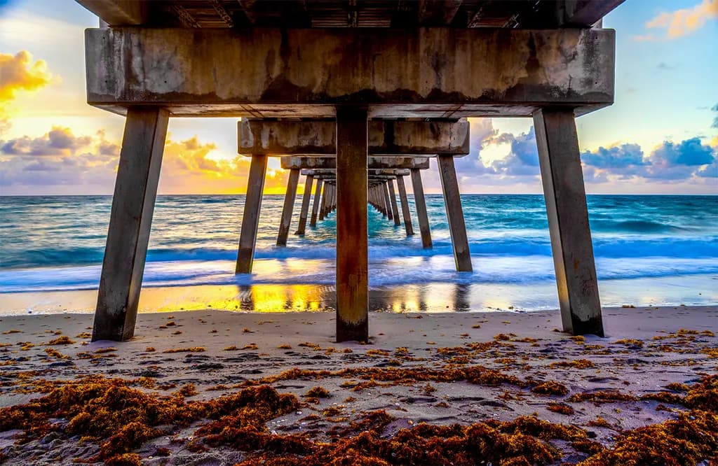 Under Juno Pier