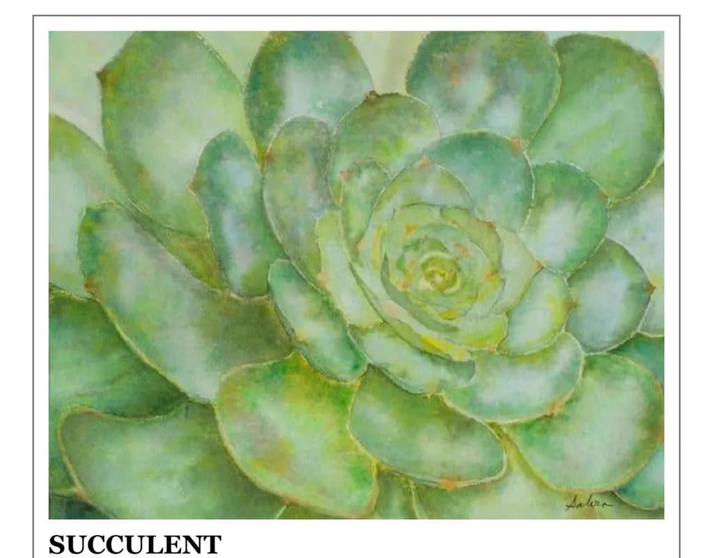 Succulent Study