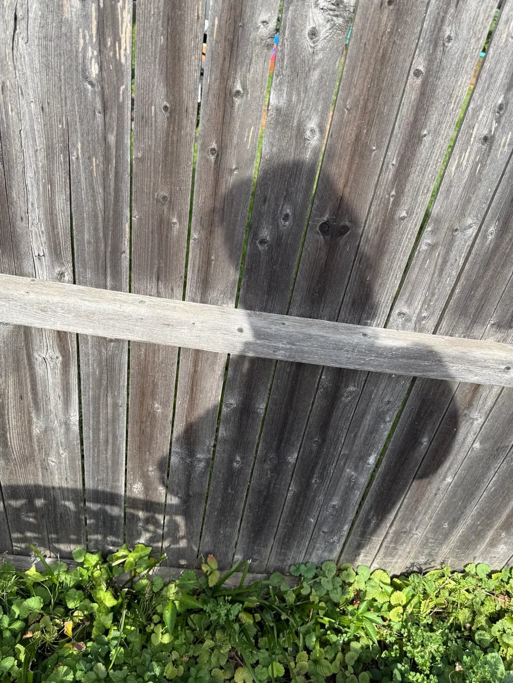 Shadow on Wooden Fence