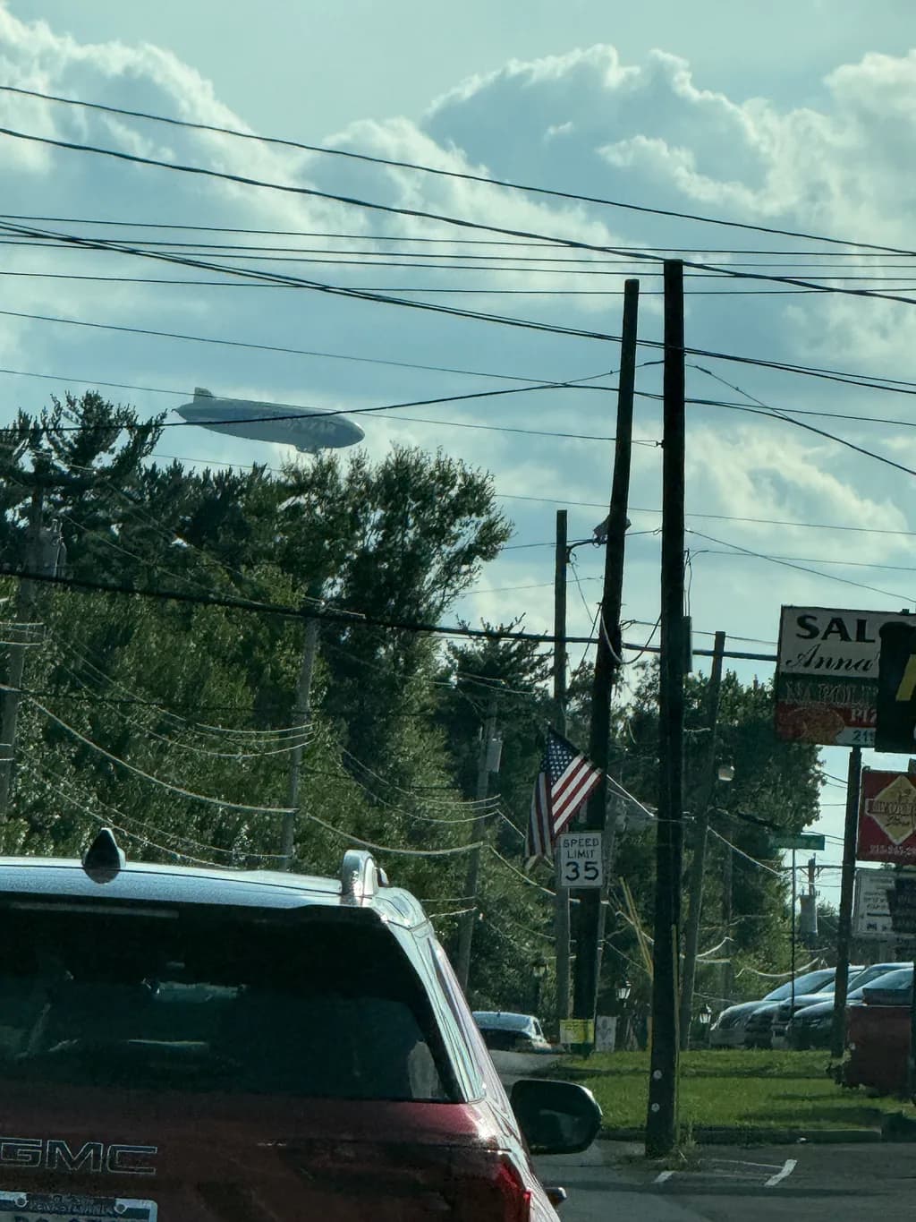 Blimp Over Trees