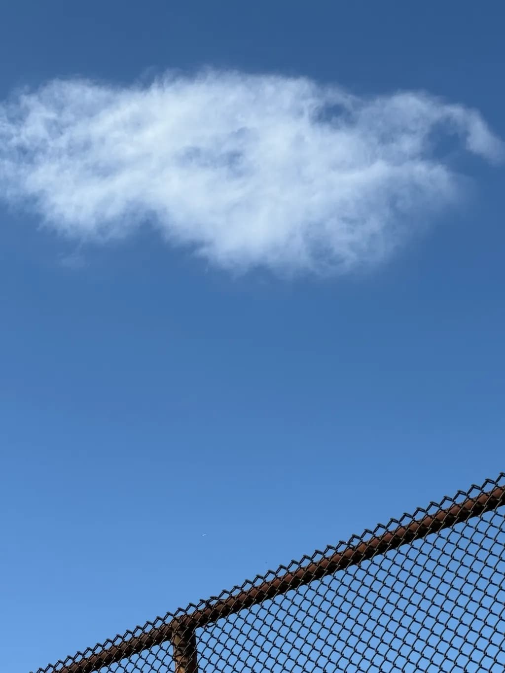 Blue Fence and Cloud