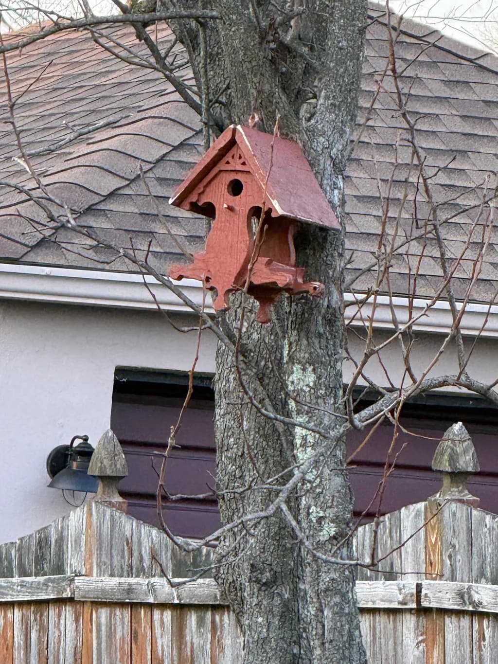Winter Perch