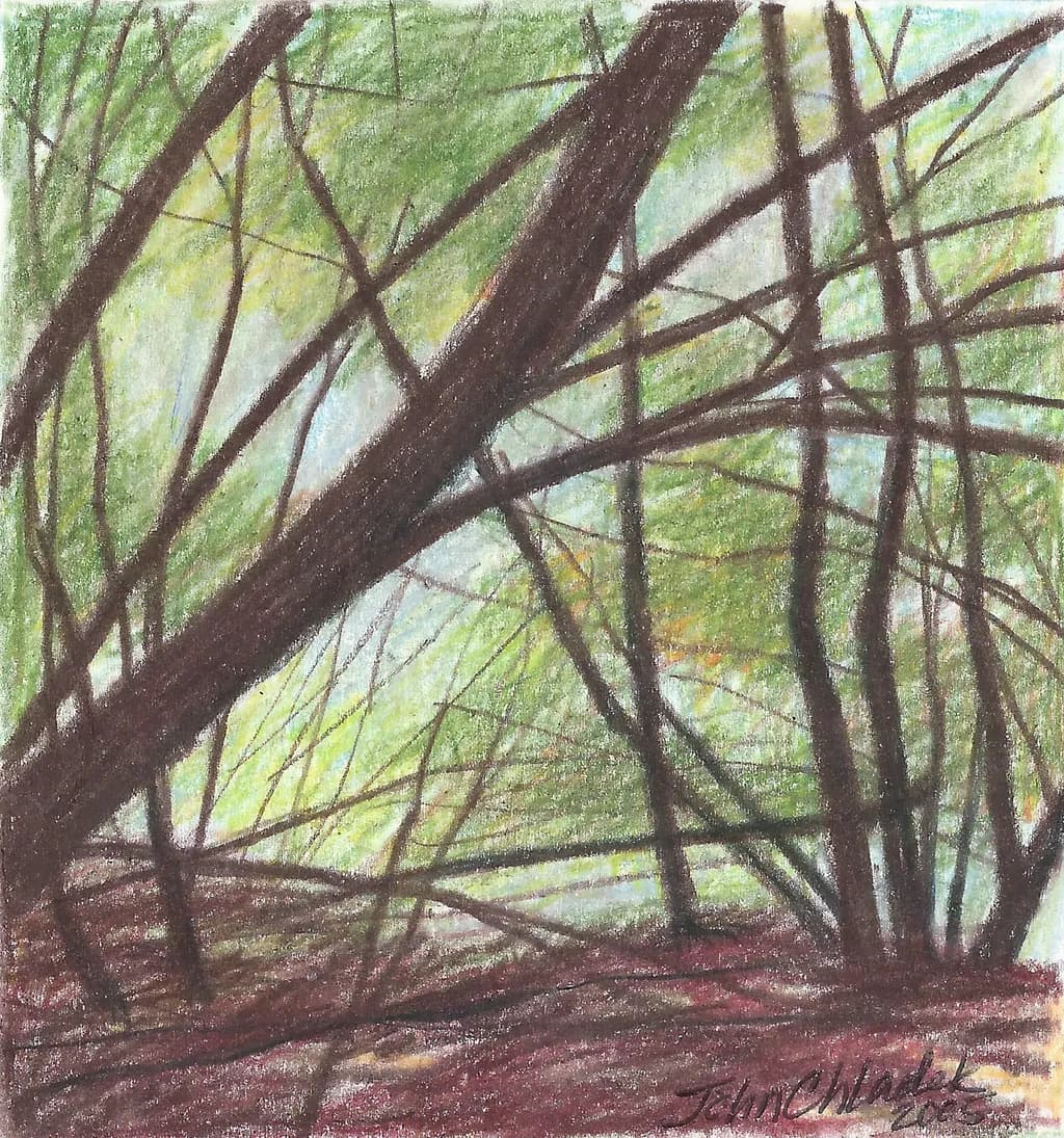 Among the Willows