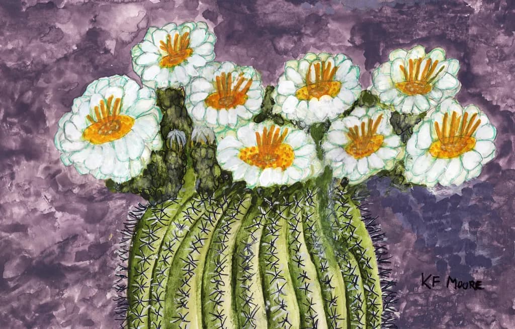Flowering Saguaro