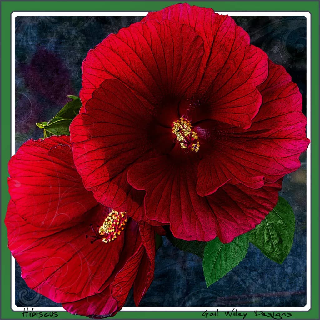 Crimson Duo