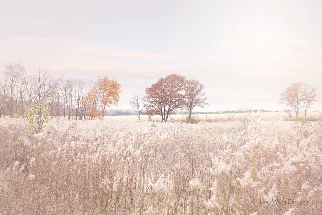 Autumn Haze