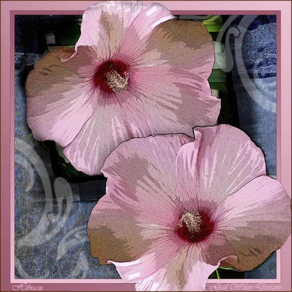 Pink Hibiscus Duo