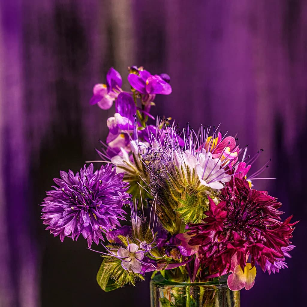 I Wish I Could Bring You Flowers
