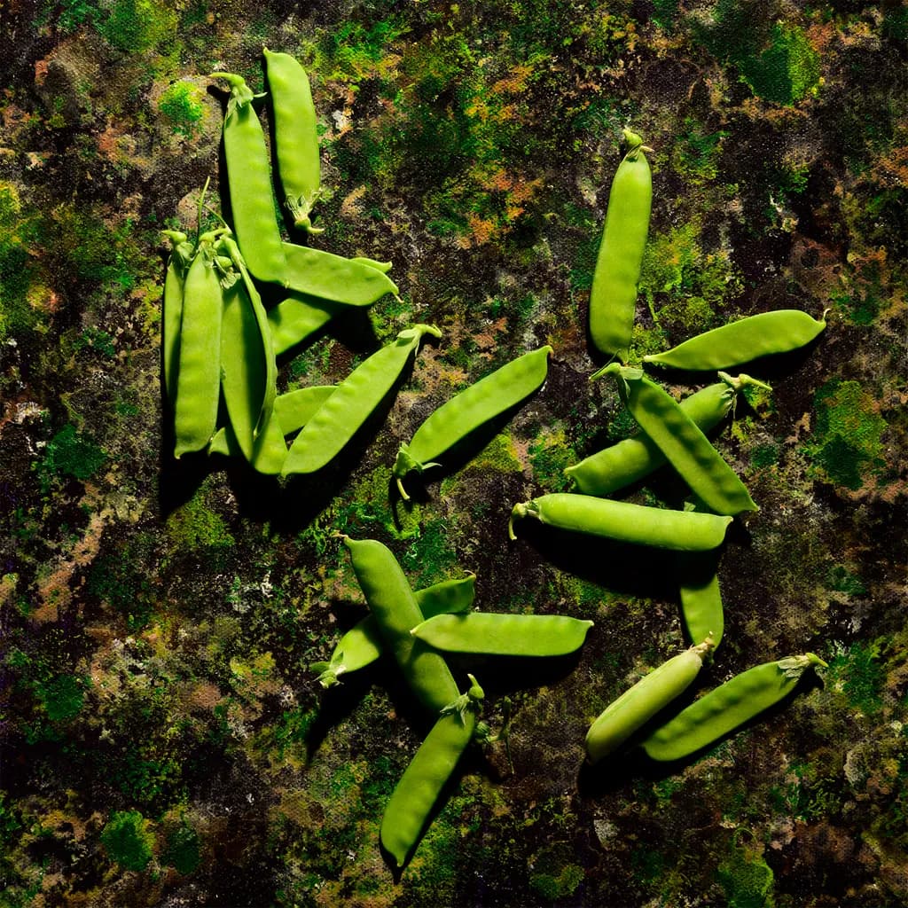 Peas in Chaos