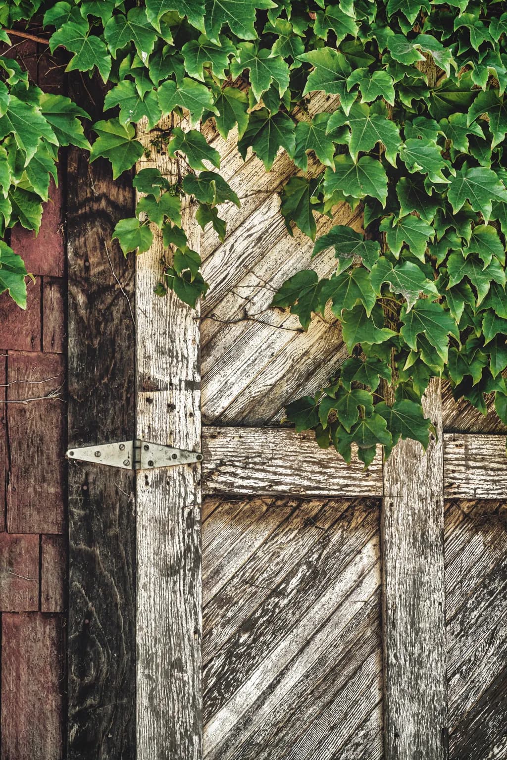 Hidden Gate