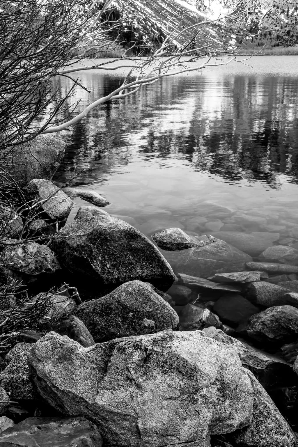Winter Shoreline