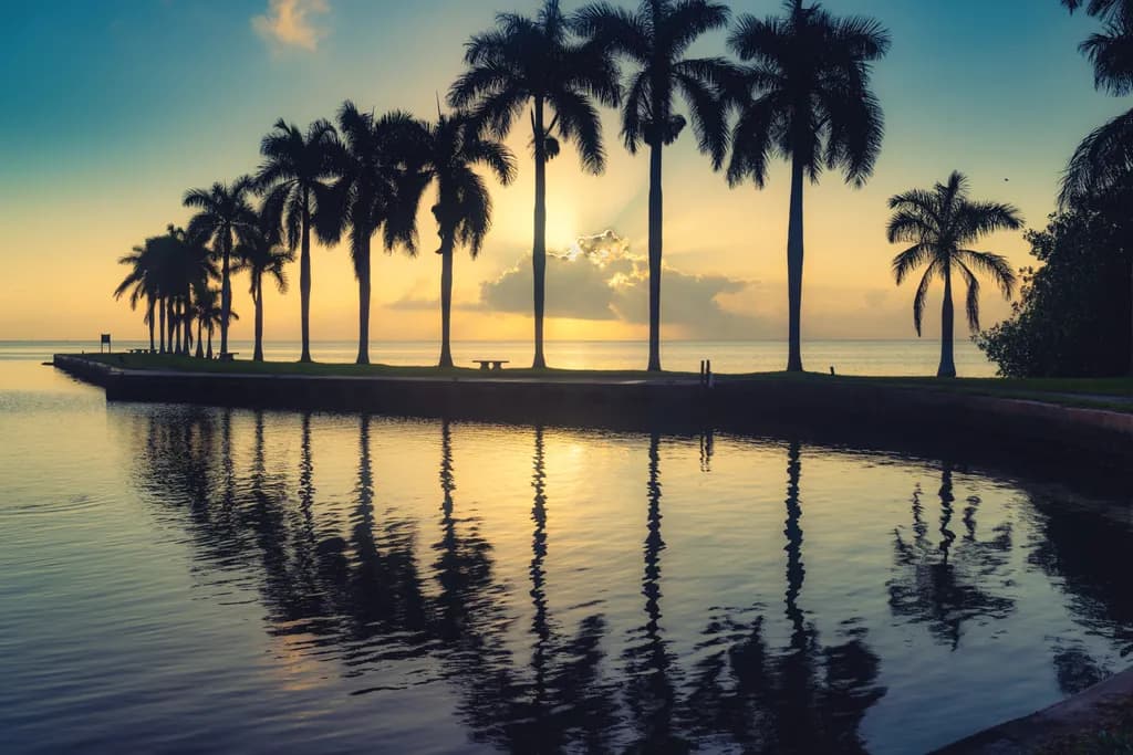Sunrise Reflections at The Deering Estate