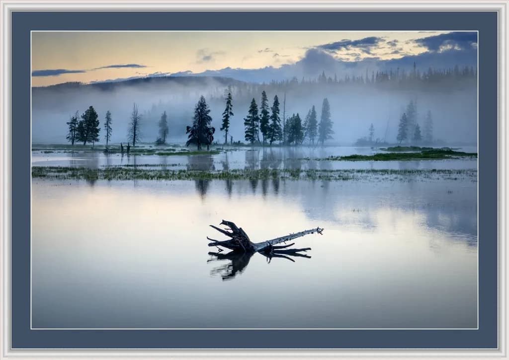 Misty Reflection