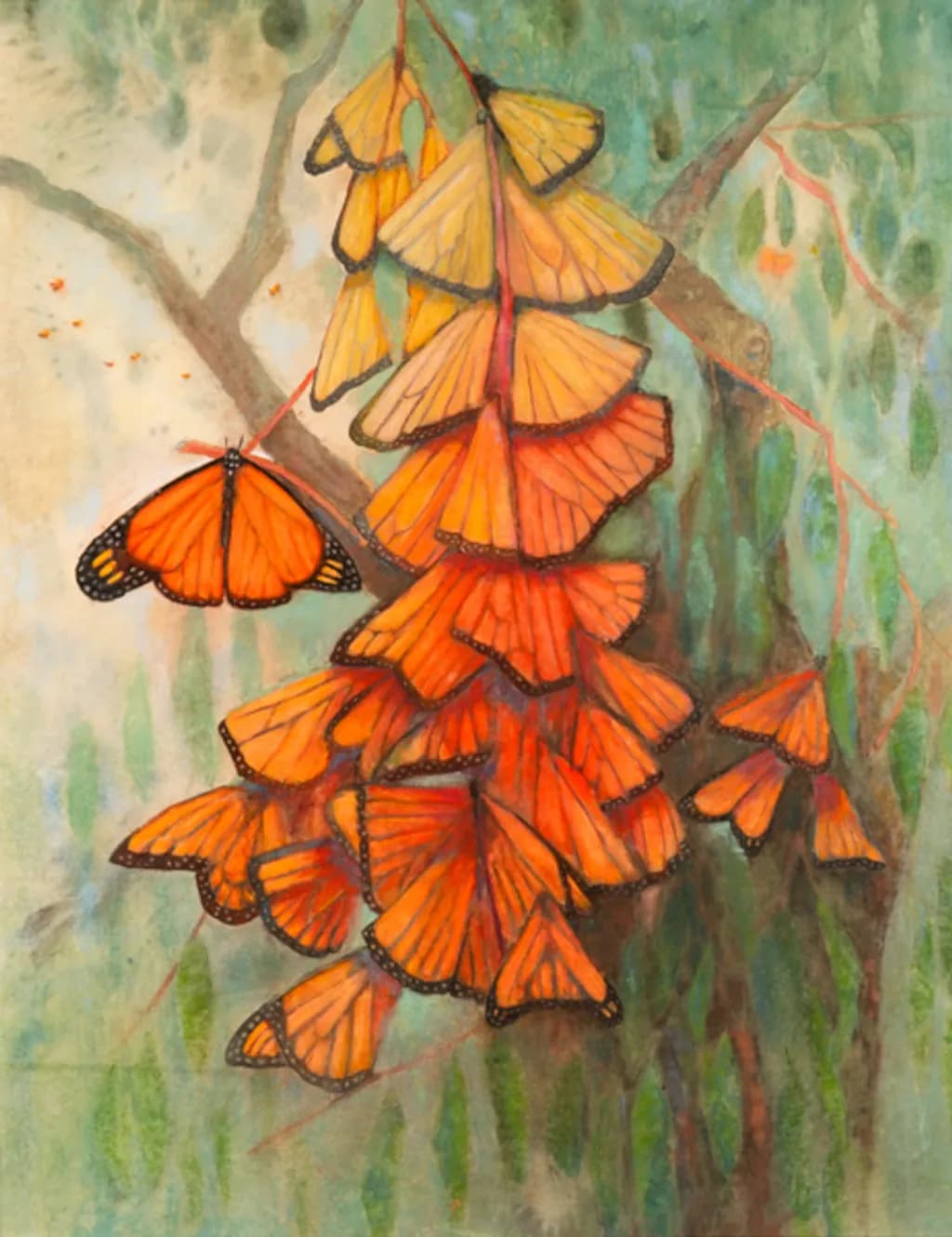 Monarch Gathering