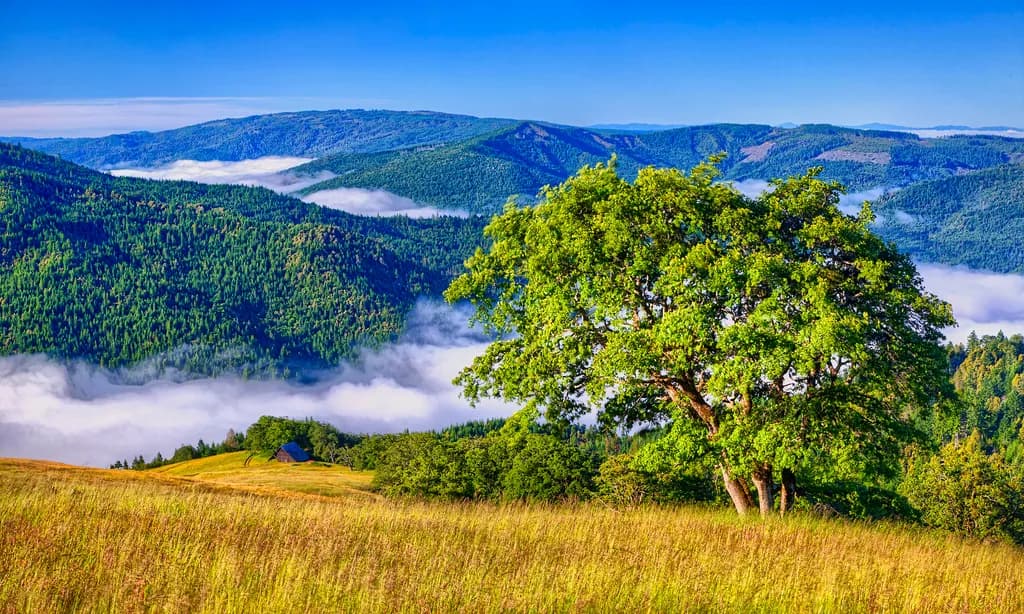 Whispers of Serenity: A Majestic Landscape Embracing Nature's Tranquility