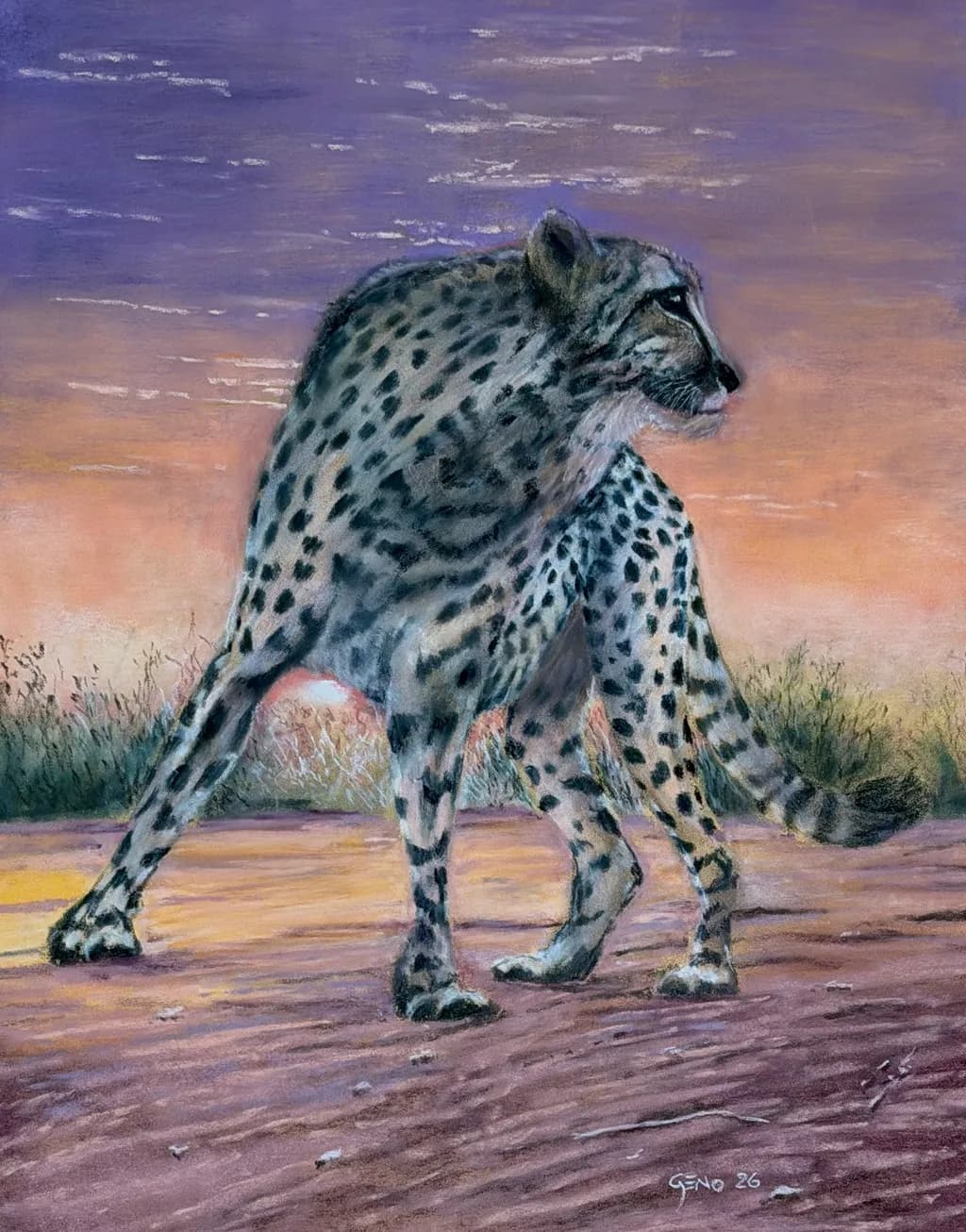 Savannah Cheetah Hunt