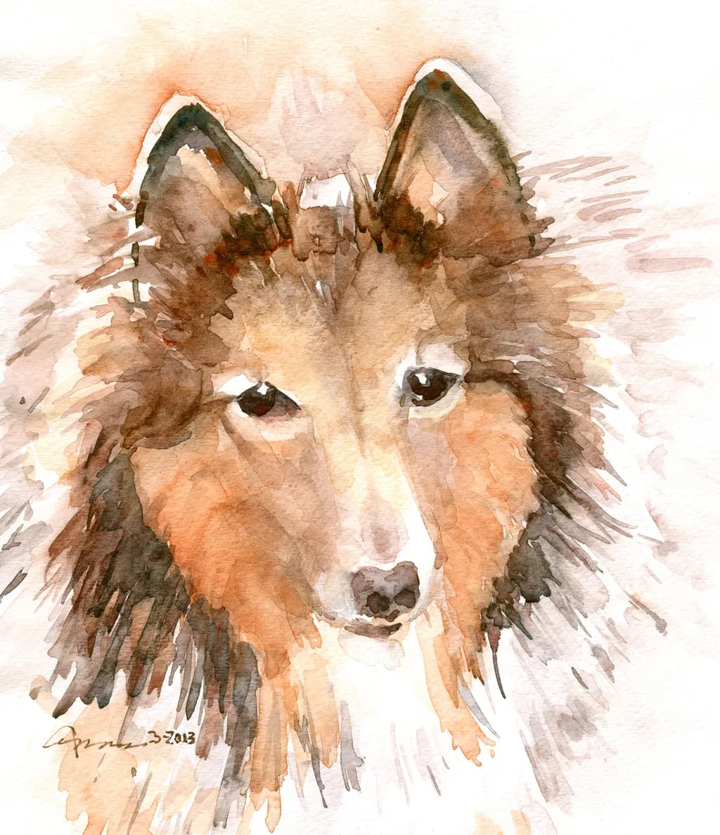 Amber Gaze