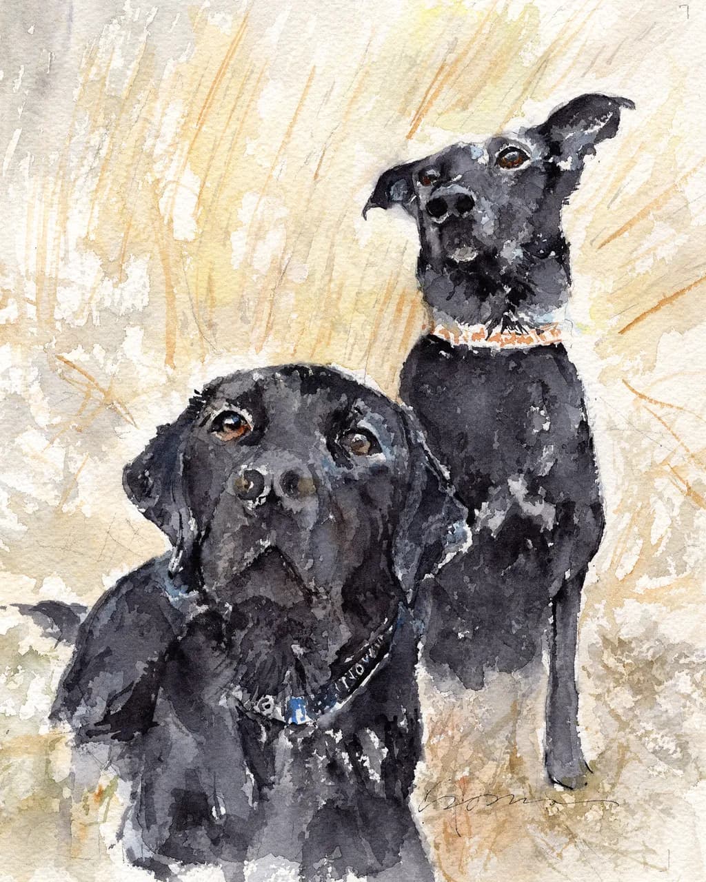 Cache & Greta