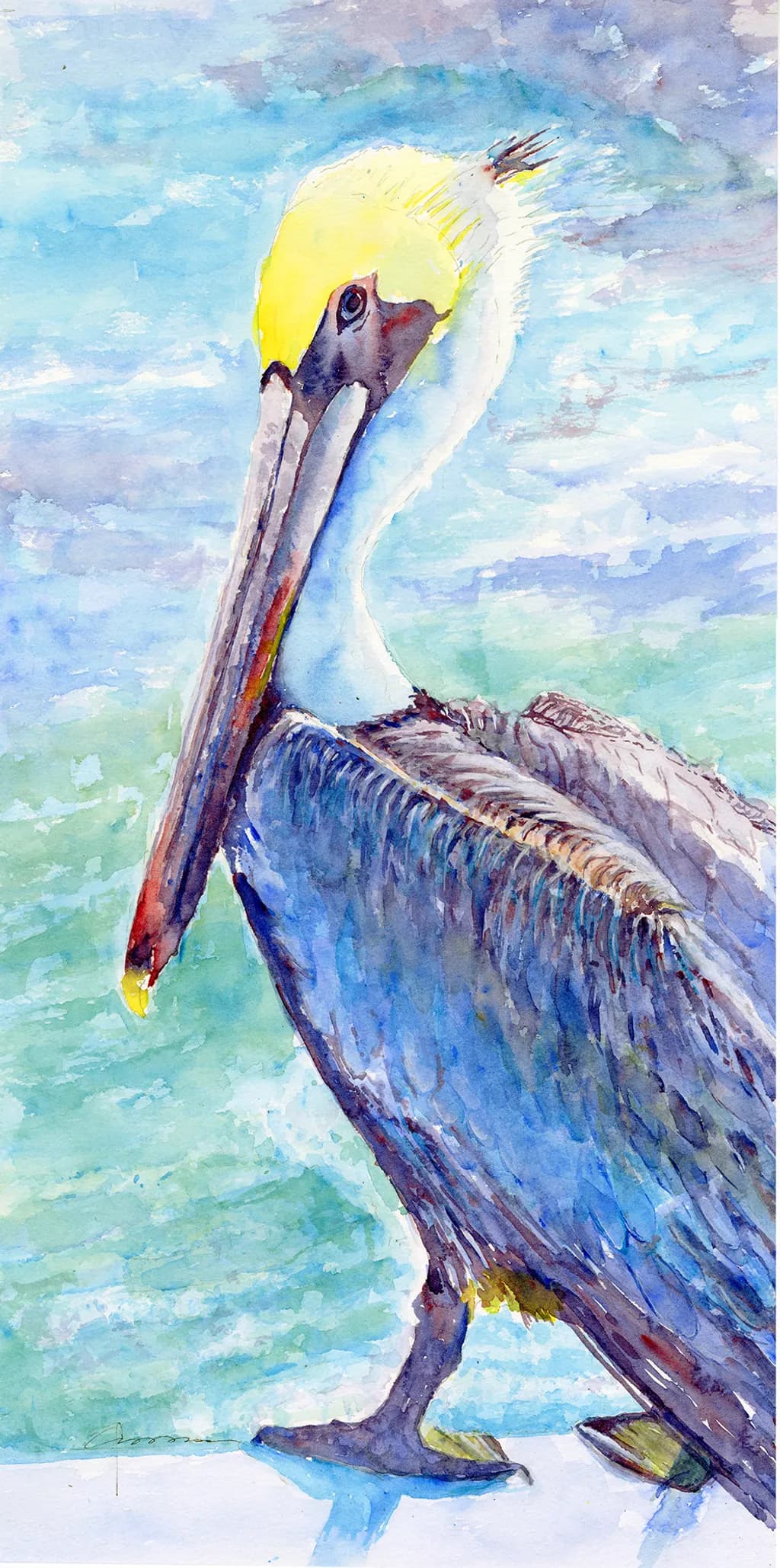 Pelican Pose