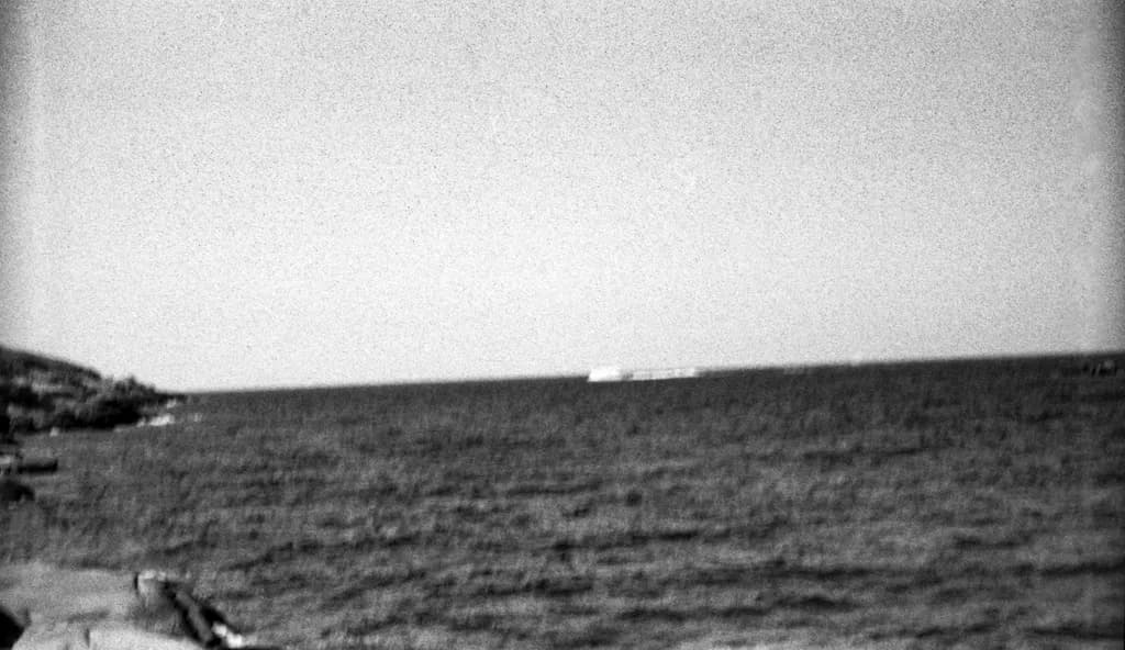 Coastal Grain
