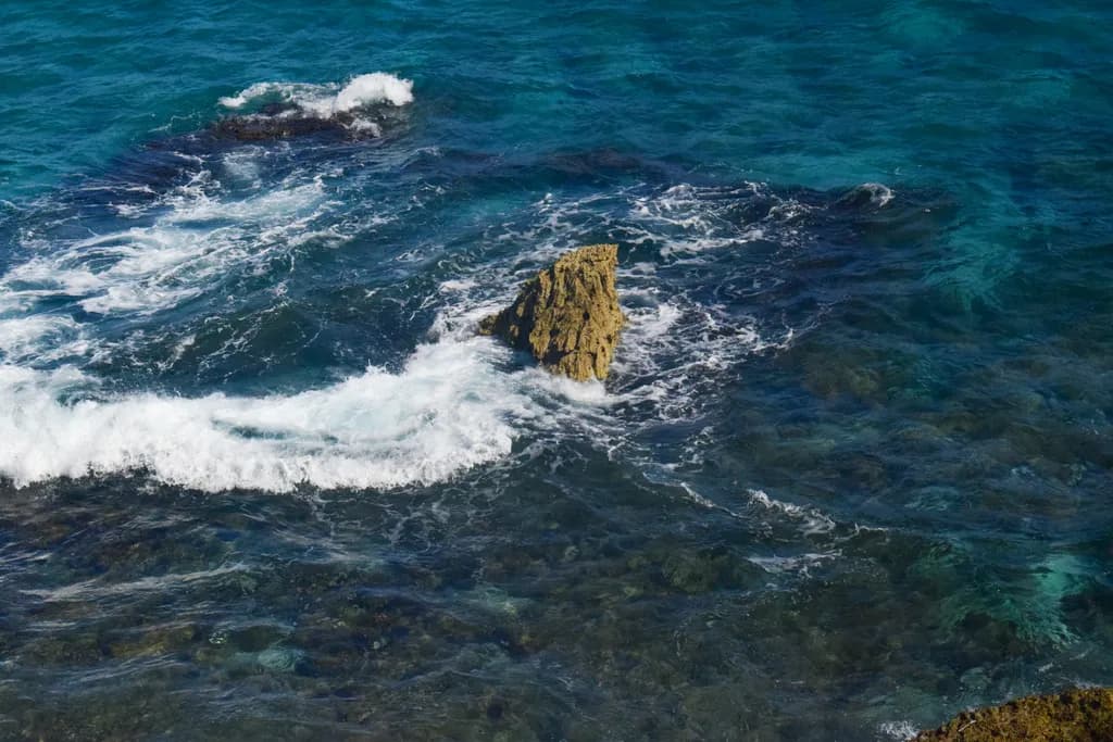 Coastal Resilience