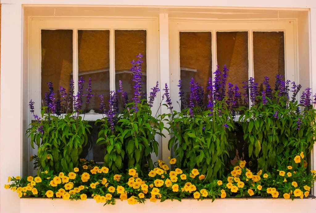 Window Garden Bloom