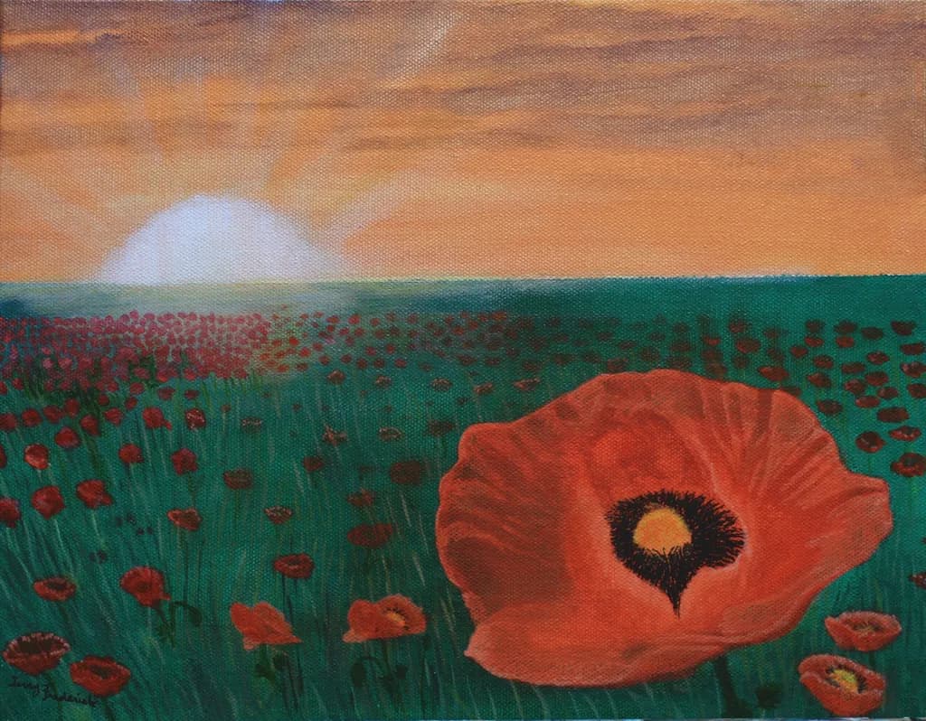 Poppy Meadow Sunset