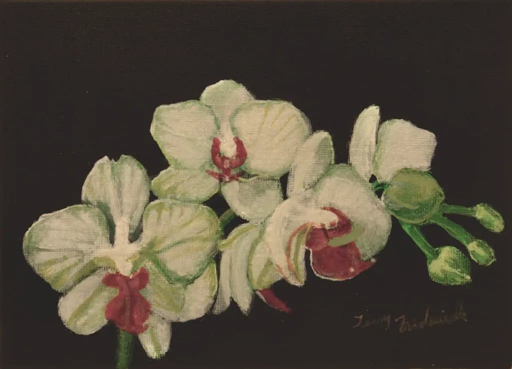 Orchid in White