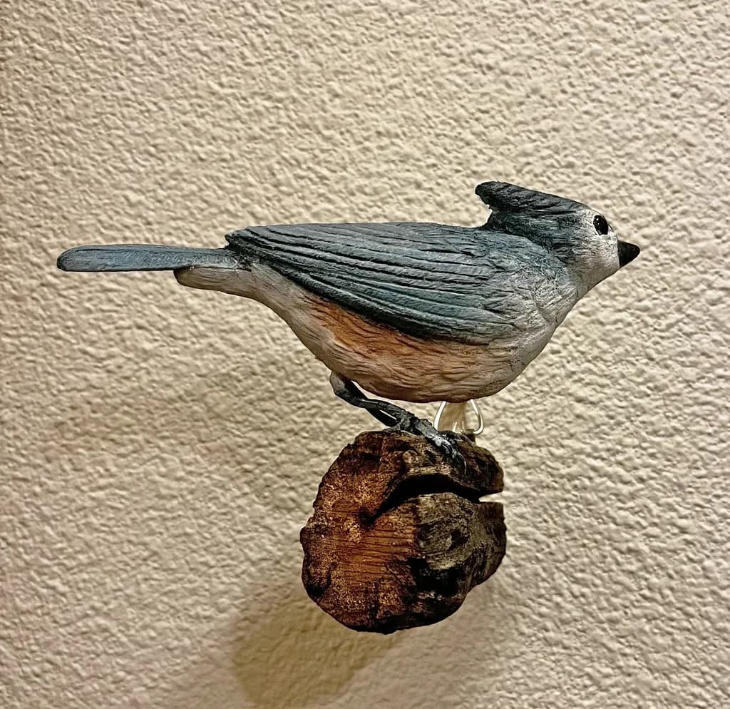Tufted Titmouse