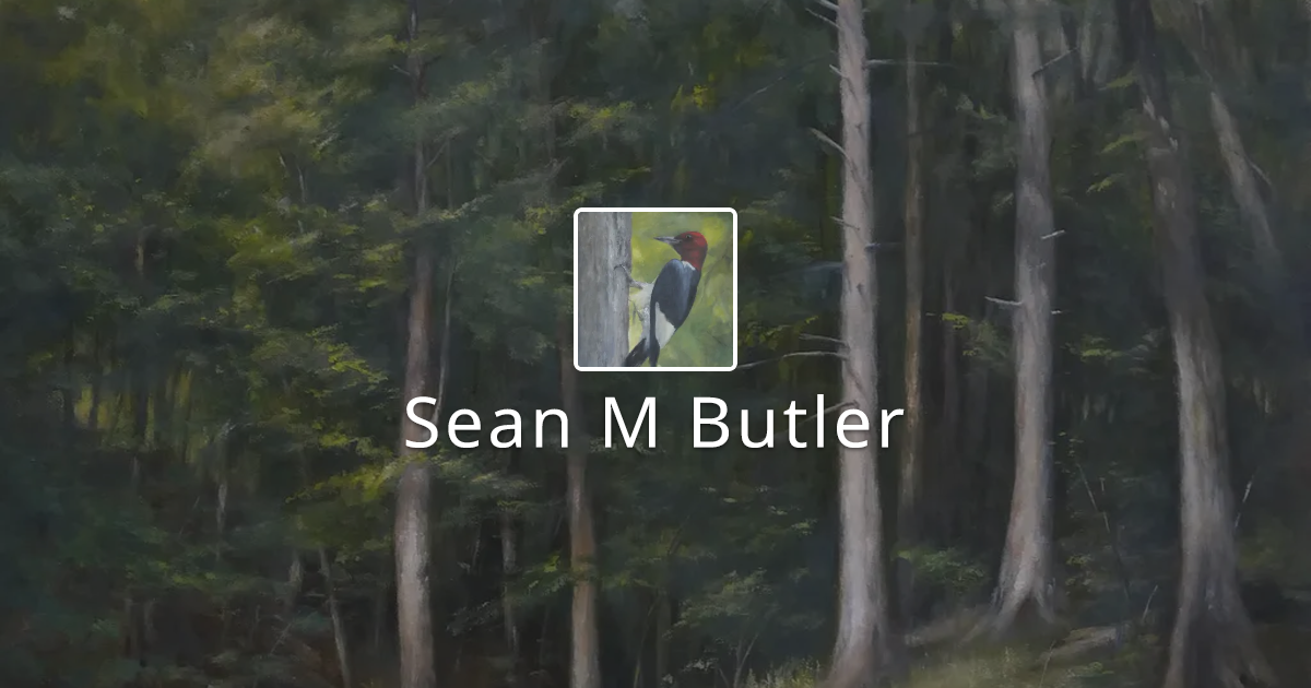Sean M Butler | ArtHelper